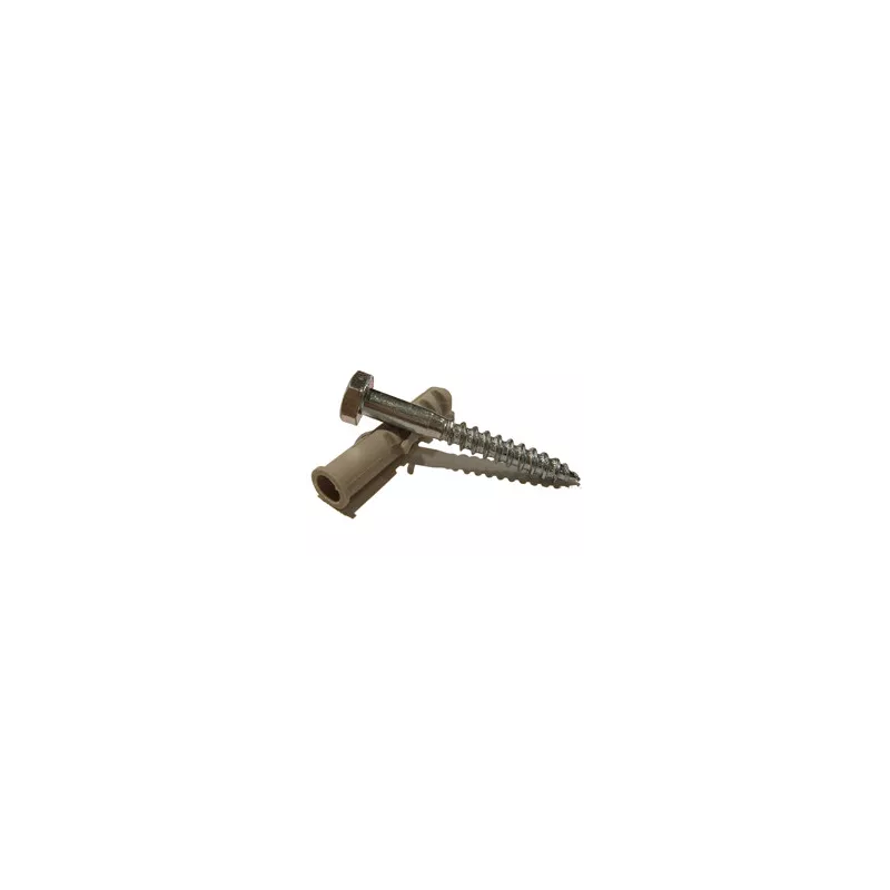 Coach Screw with Wall Plug