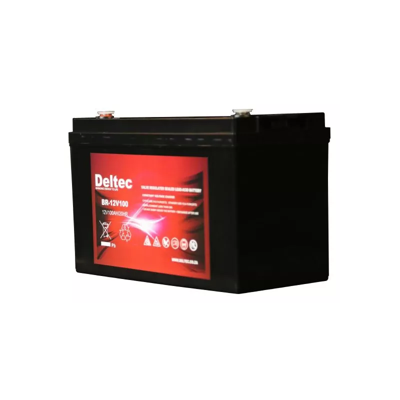 Deltec 12V 100Ah AGM Battery