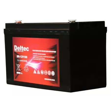 Deltec 12V 100Ah AGM Battery